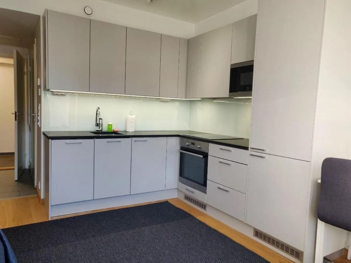 Modern Studio In Helsinki City Center Daire